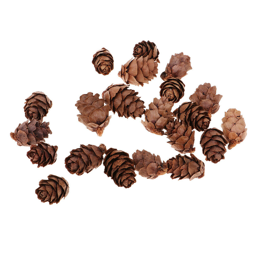 100x Decorative Pinecone Pine Cone Vase Bowl Filler Display Table Decoration