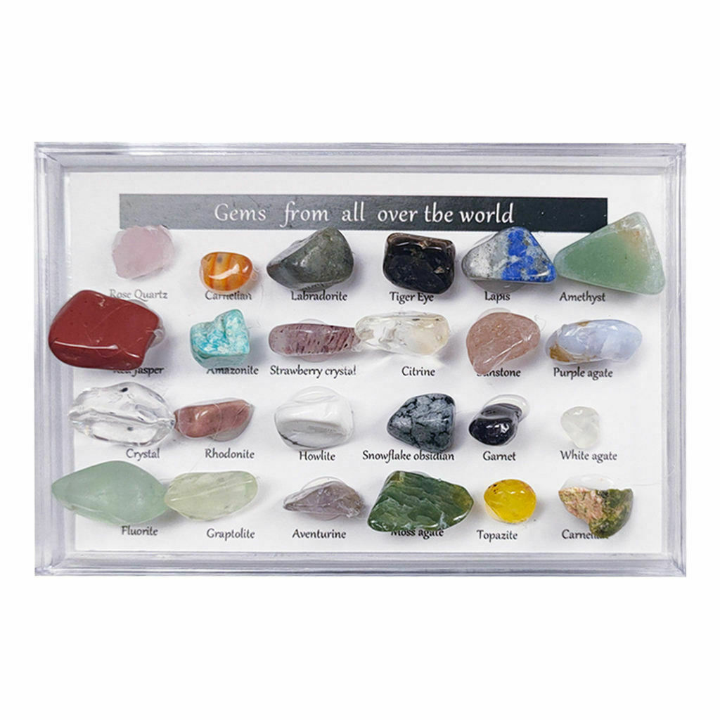 24 Pieces Rock and Mineral w/ Display Case Geography Education for Kids