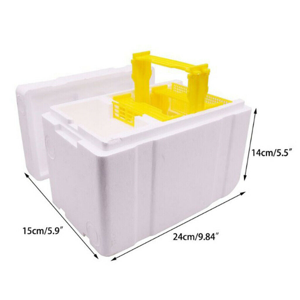 5X Bee Tail Box Bee Pollination Box Beehive King Box for Beekeeper Starter