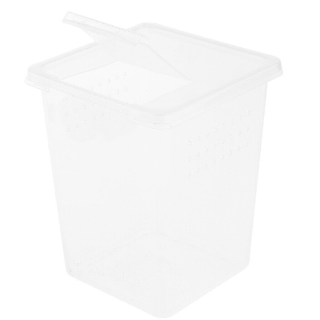 2Pcs Plastic Insect Spider Habitat Feeding Box Container REUSABLE 3x3x4 inch