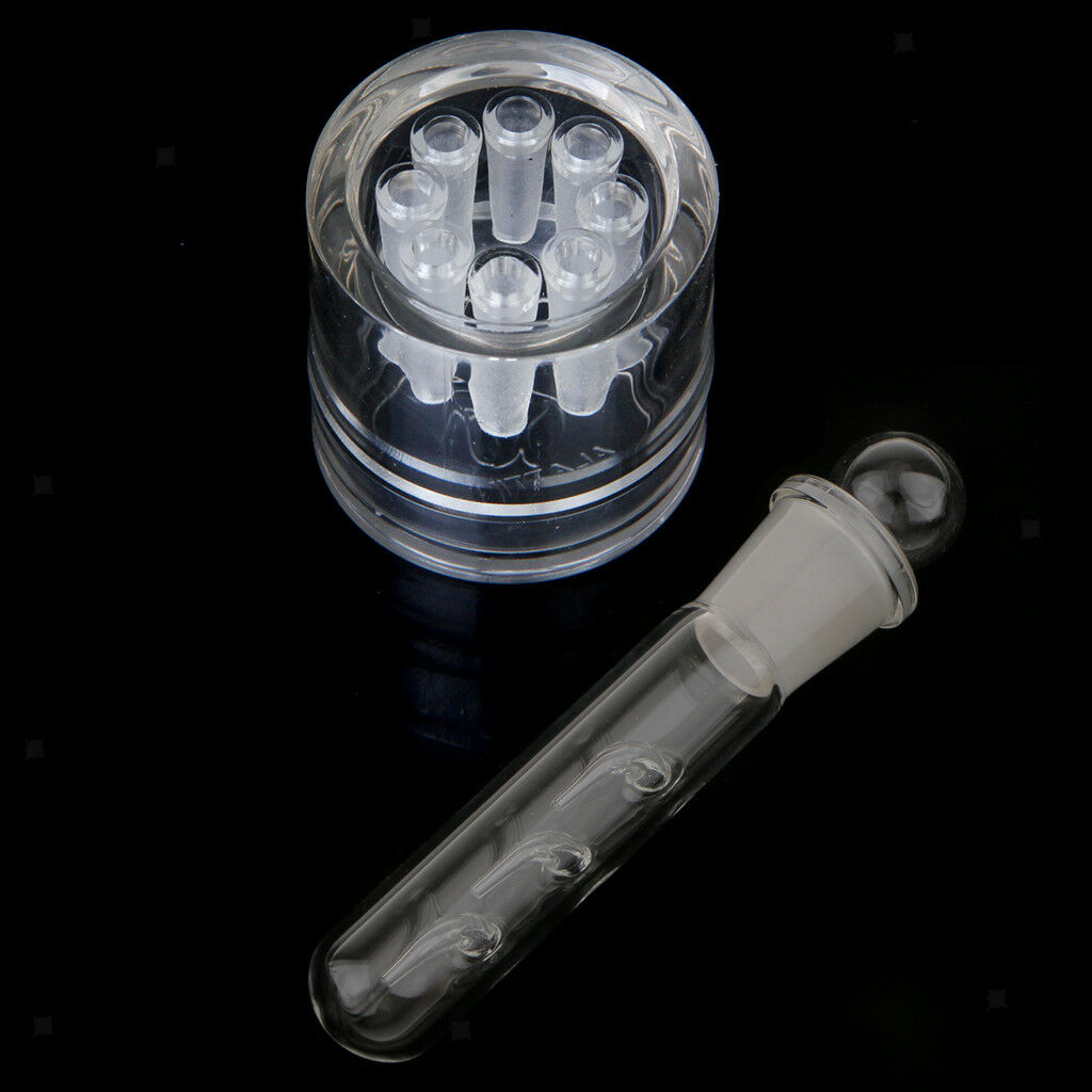 Tank Delicate Planaria Trap Pen Worm Shrimp Leeches Catcher 3&8 Holes