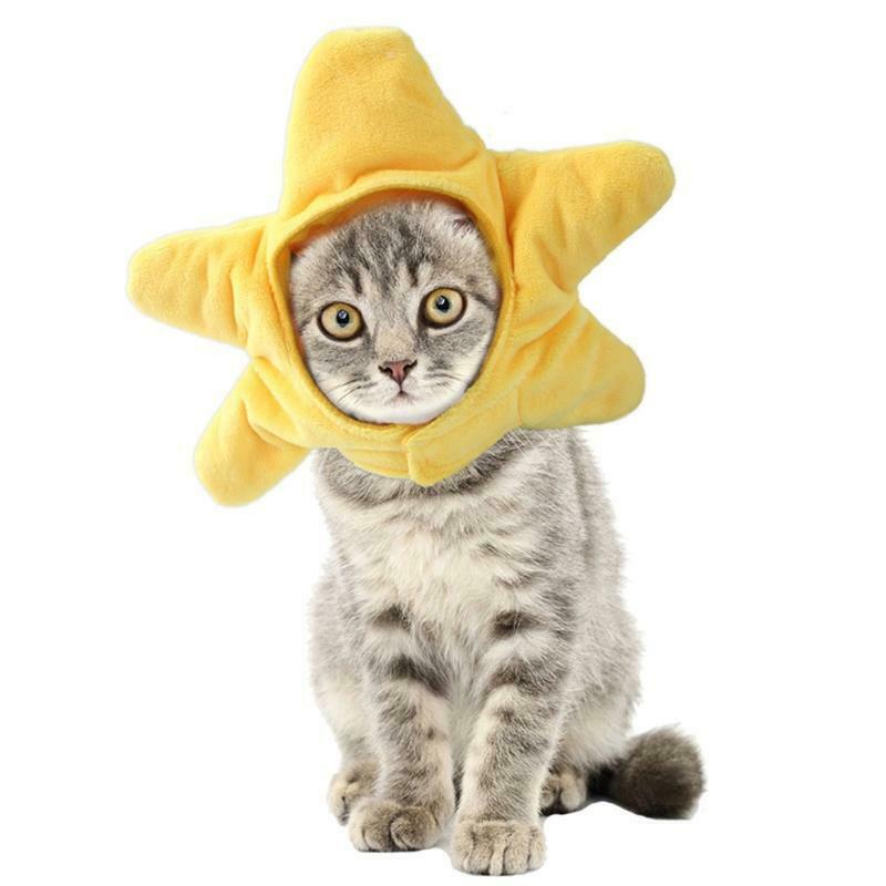 Cute Hat Pet Neck and Ear Warmer Starfish Cap Funny Party Costume Accessories