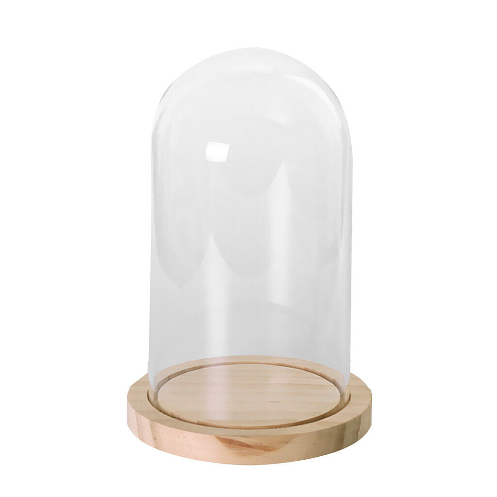 Glass Cover Landscape Vase Terrarium Round Wood Tray Flower Decor Gift L