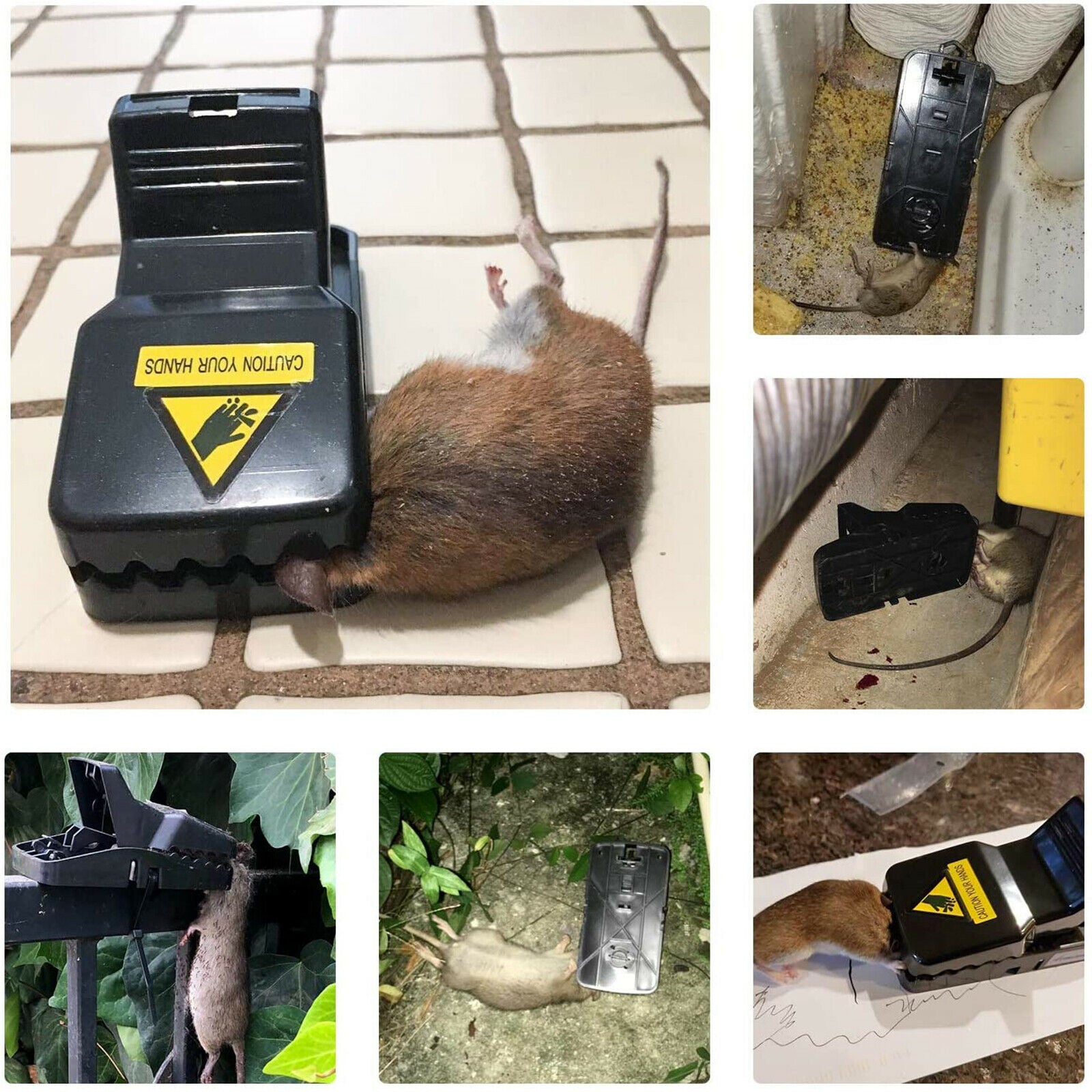 6PCS Reusable Mouse Trap for House Rat Traps Killer Spring Rodent Catcher