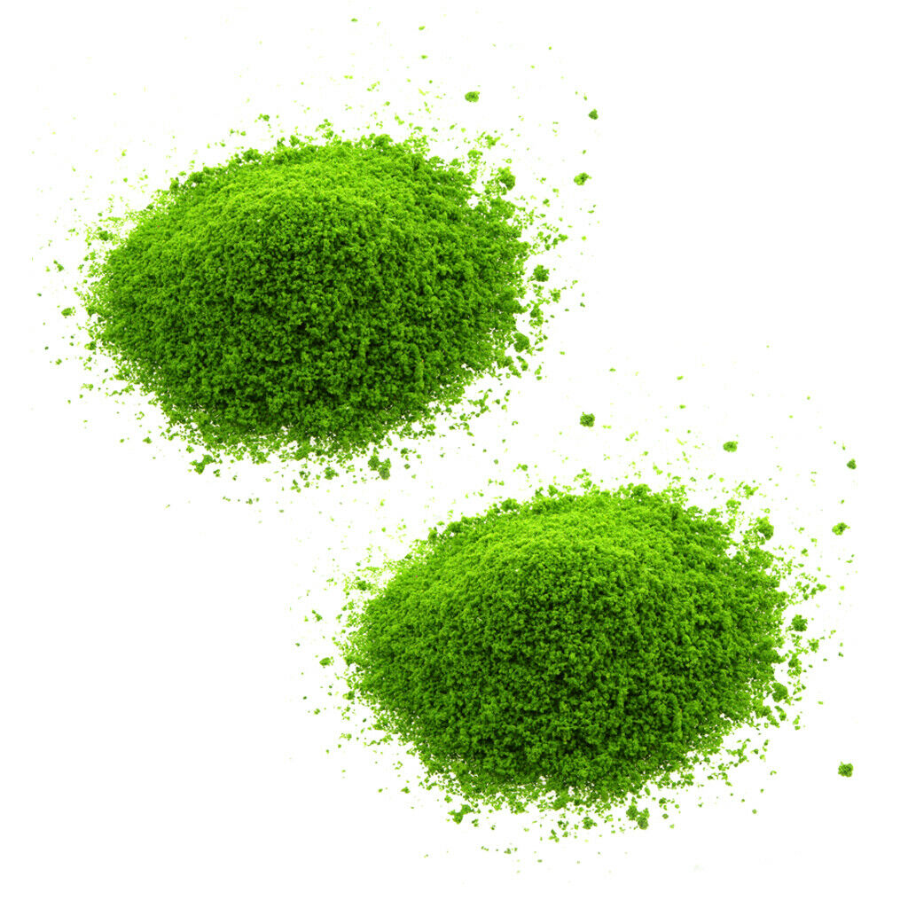 Light Green Grainy Shape Diy Foliage Sponge Leaves  Trees Pattern