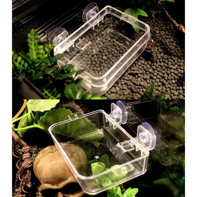 Anti-Escape Food Bowl Worm Container with Suction Cups Terrarium Accessories