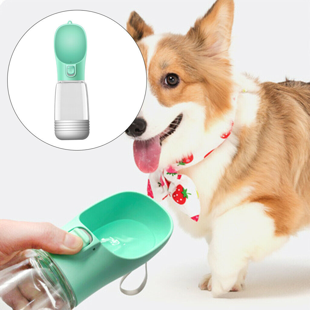 Dog Bottle Outdoor Puppy Drinking Poop Bag Dispenser Feeder Tray Green