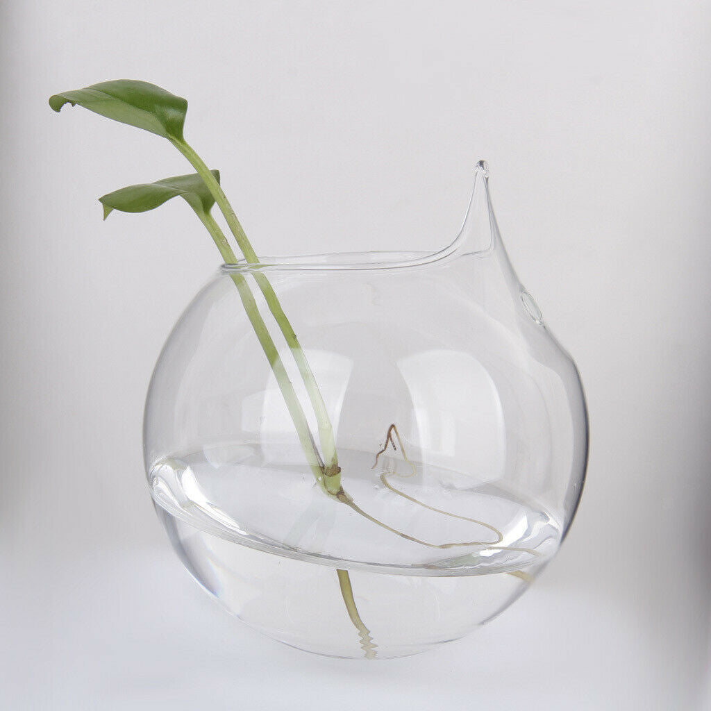 5 Pack Wall Hanging Vase Glass Flower Plant Terrarium Planters, Transparent