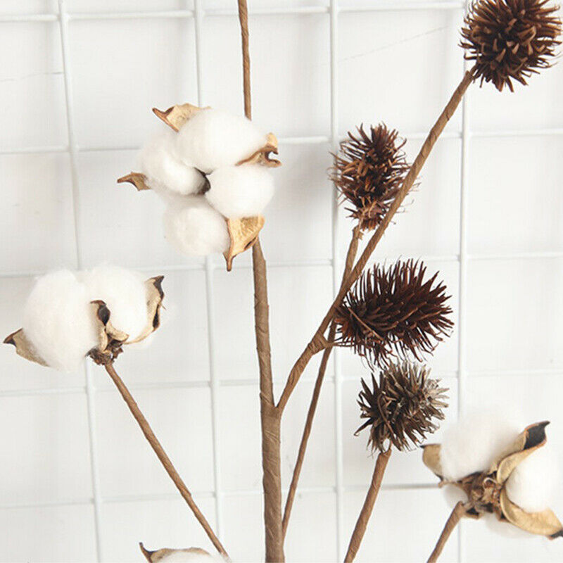 Naturally Dried Cotton Flowers Artificial Plants Floral Branch for Decora.l8