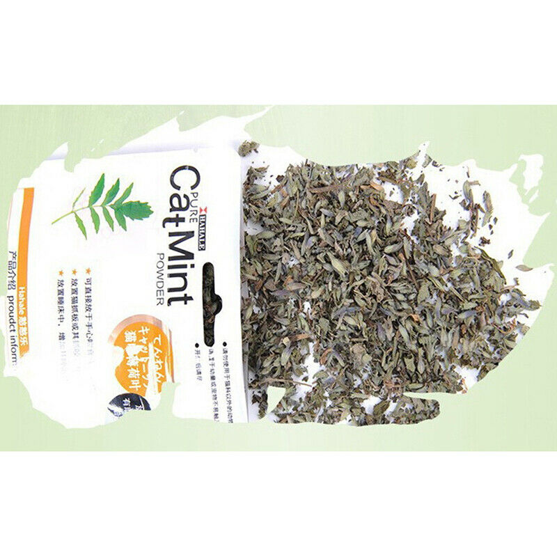 Natural Premium Catnip Menthol Organic 5g Flavor 100% Snacks Catnip Pet  Lt