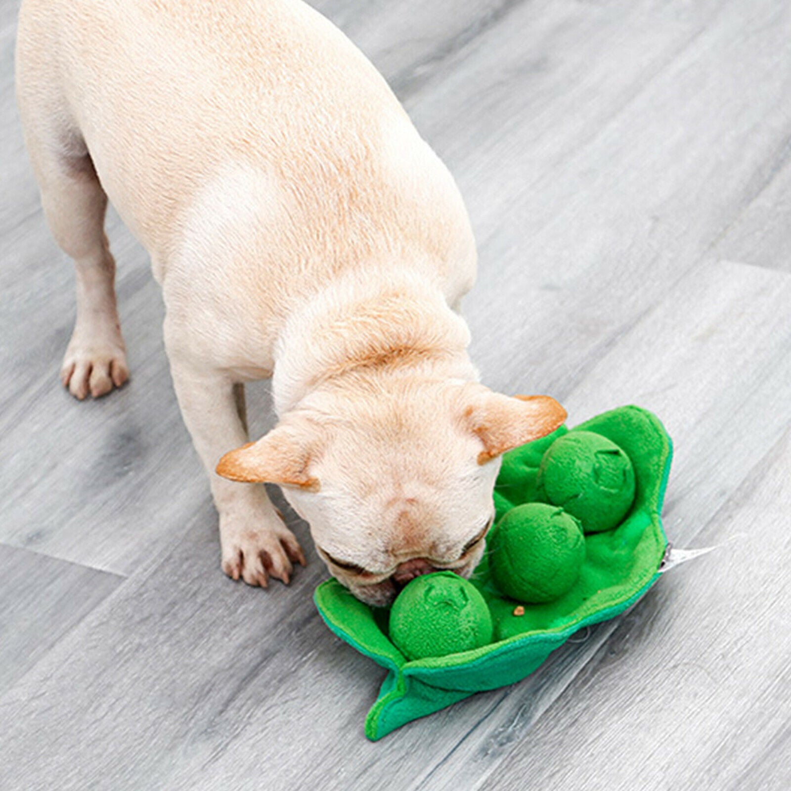 Safe Dog Chew Toys Tough Squeaky Balls Interactive Dog Toys for Puppy Puppy
