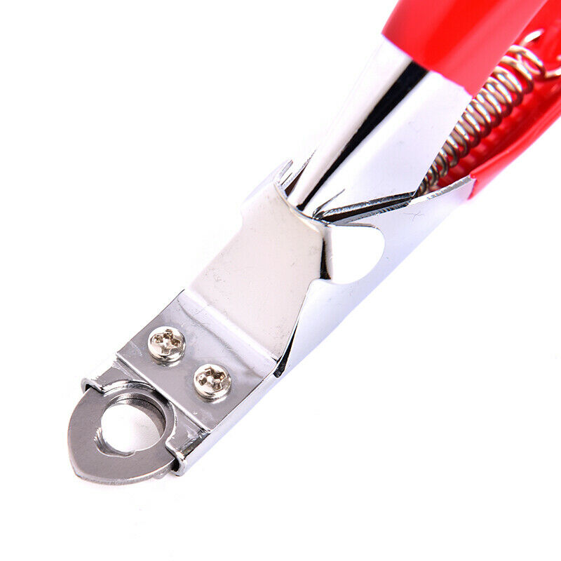 Stainless Steel Pet Dog Cat Birds Toe Claw Nail Clippers Trimmer Grooming Y FG