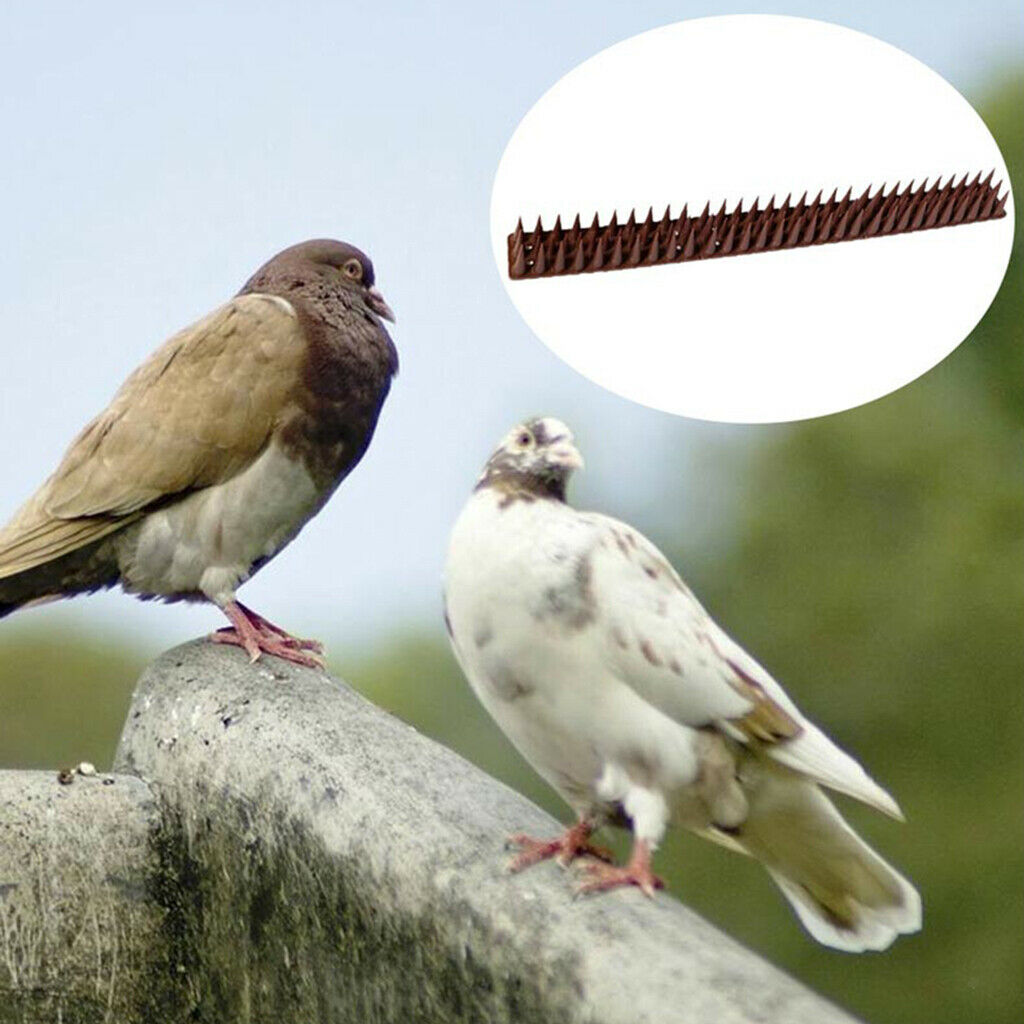 12pcs Plastic  Defender Rodent Cat Animal Repellent Roof Guard