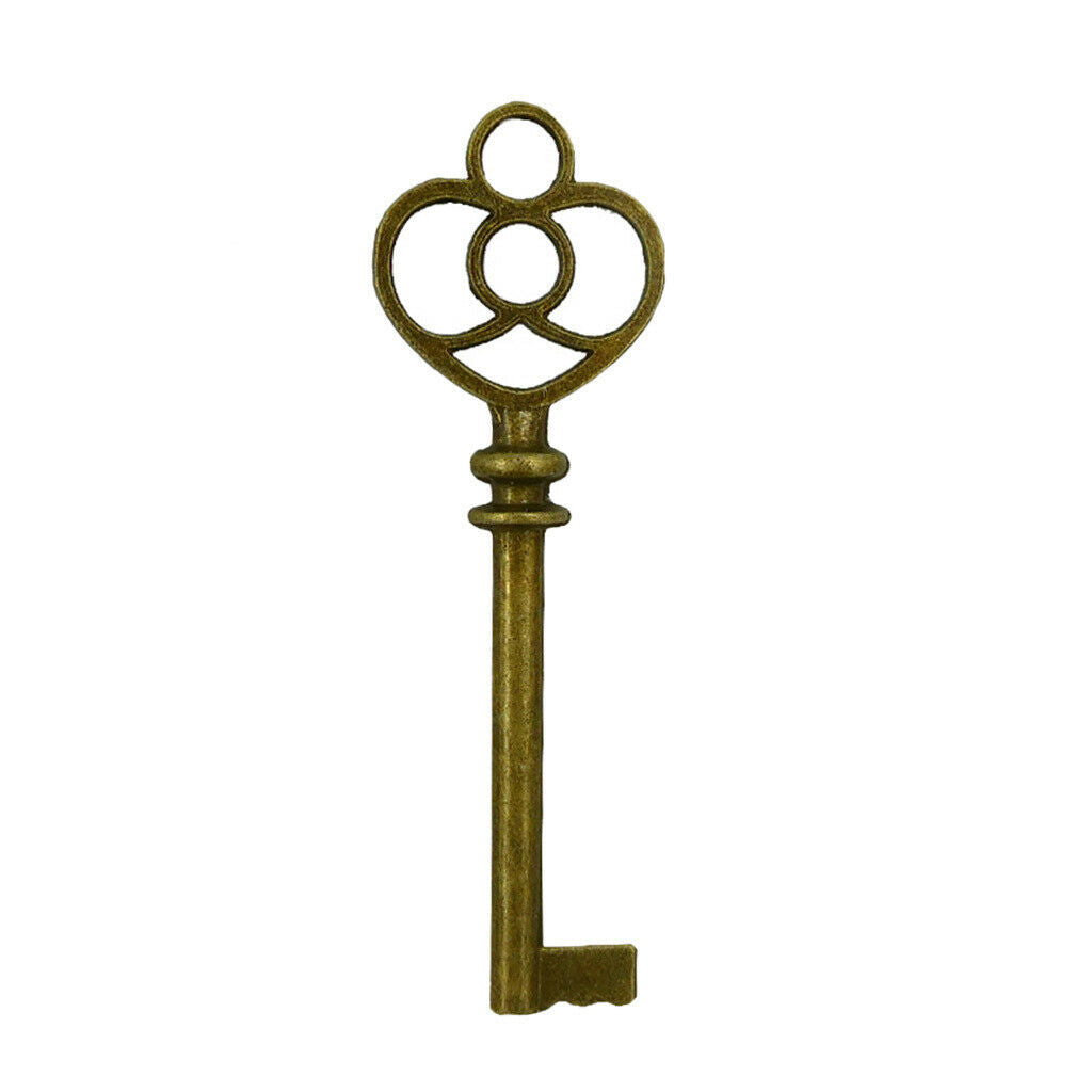 12x Skeleton Key Dangle Pendant Charms for DIY Necklace Bracelet Earrings