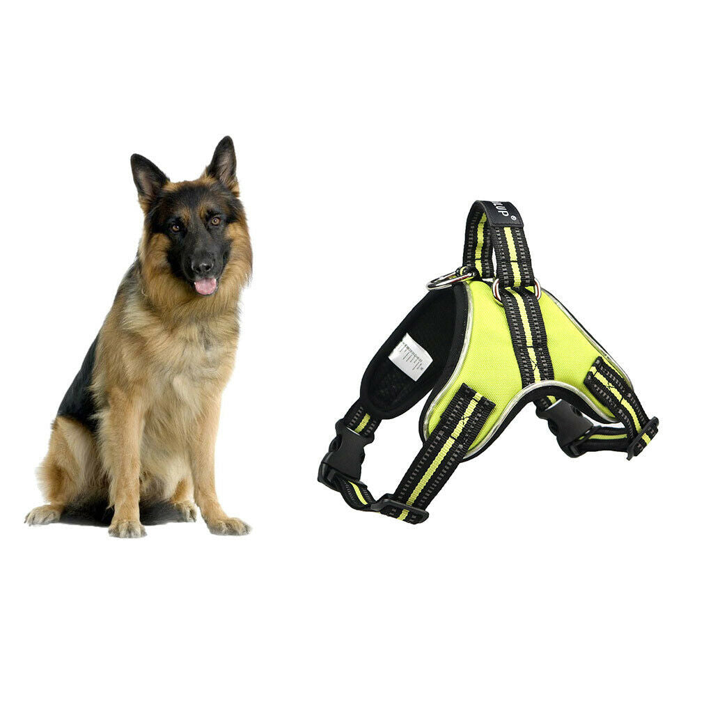 LED Dog Puppy Luminous Harness Soft Reflective Breathable Vest  Green XXL
