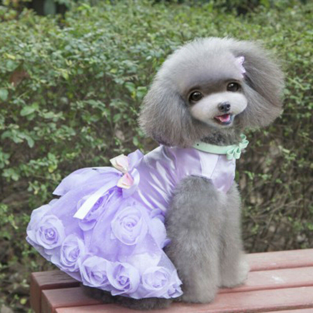 Dog Lace Dress Princess Tutu Skirt Flower Sunday Collection Clothes M Purple