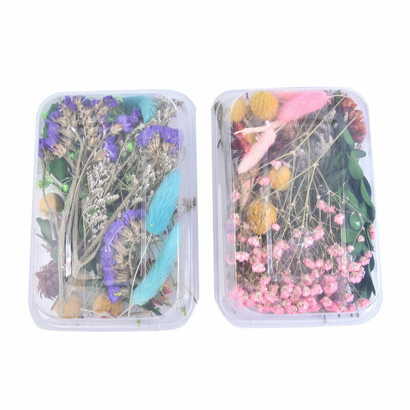 1 Box Dried Flower Real Dry Plants For Aromatherapy Candle Craft DIY Accessor Rf