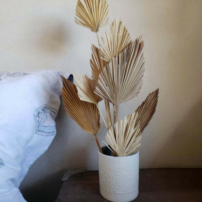 Palm Fan Leaf Dried Flower Palm Leaf Window Wedding Arch Arrangement Party A DF