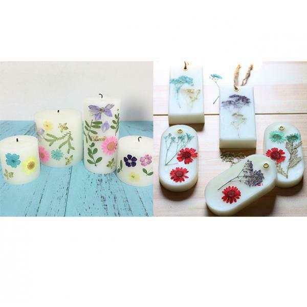 6 Pieces Natural Real Pressed Pansy Flower Dried Flower Floral Embellishments