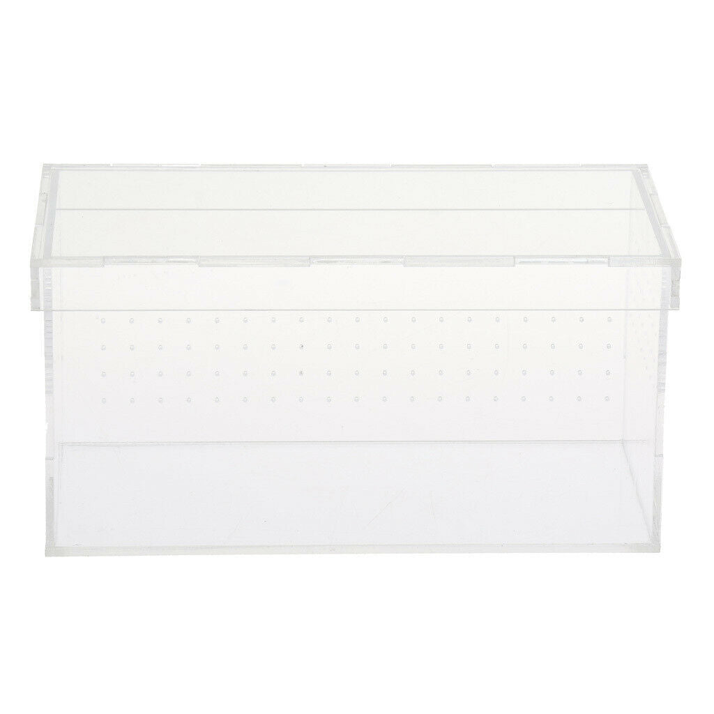 Acrylic Reptiles Terrarium Container Ideal for Reptiles or Amphibians ,Clear,