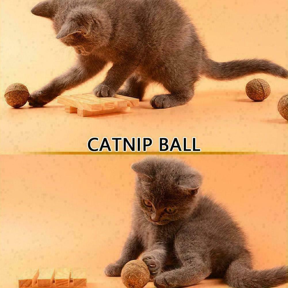 Cat Snack Catnip Ball Lick Nutrition Ball Molar Cleaning AU Cat Snacks