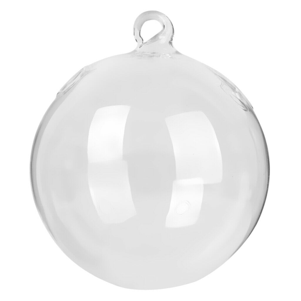 Glass Vase Hanging Ball Shape + Iron Plant Support Plant Holder Hanging Holder