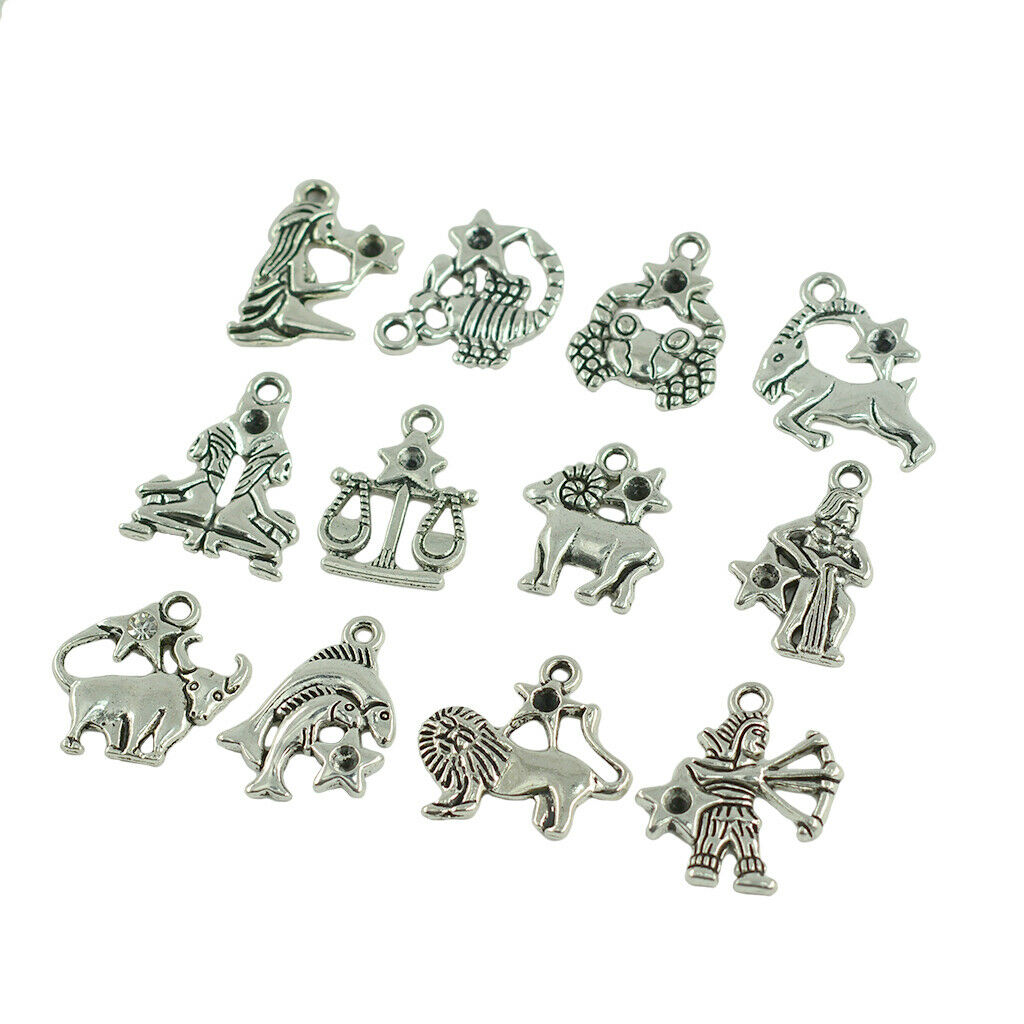 24 Pieces Zodiac Constellation Findings Charm For Necklace Keyring Pendants