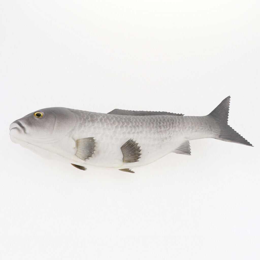 Set of 2 Carp Ornament Aquarium Decoration Creatures Kids Toys Grey+Red