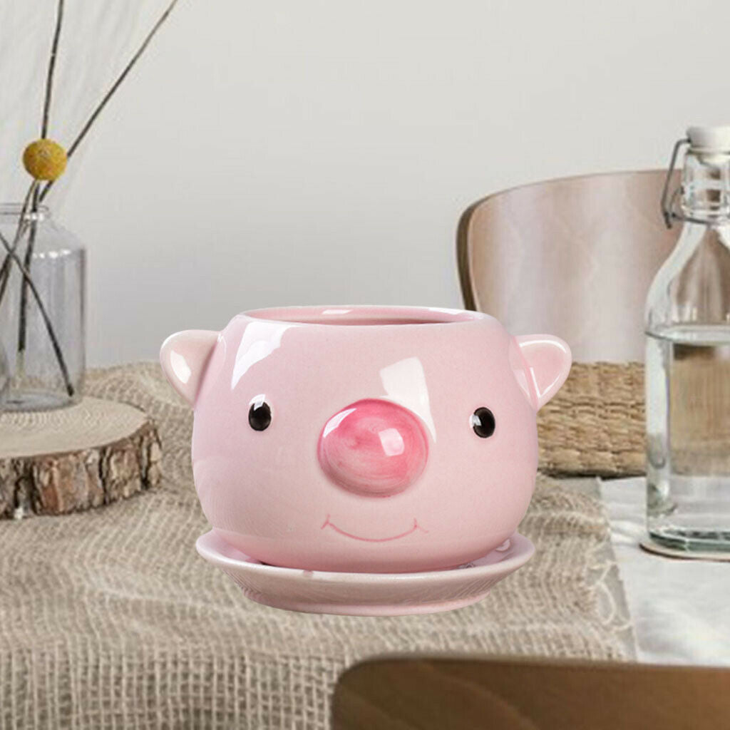 Cartoon Cute Succulent Pots Flower Pot Cactus Bonsai Plants Planter Home Pig
