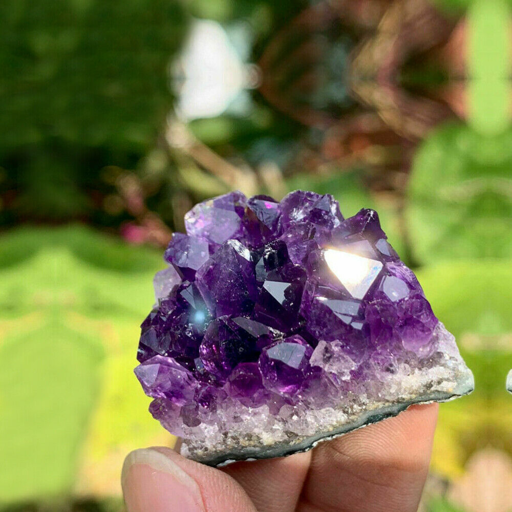 1x Natural Raw Amethyst Quartz Geode Druzy Crystal Cluster Healing Specimen