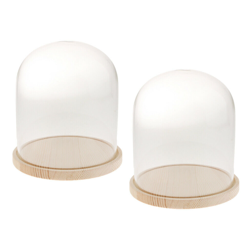 2-pack Clear Festival Glass Dome with Wooden Base Display Bell Jar Case