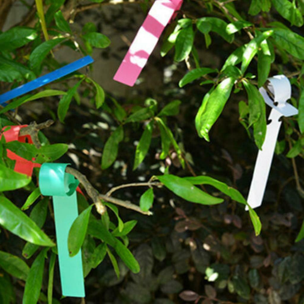 100Pcs Colorful Plastic Plant Tree Tag Garden Vegetables Flower Labels