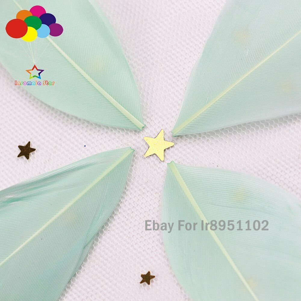 Mint DIY High Quality 100 pcs 5-7 cm Goose feather for Decor Accessories Craft