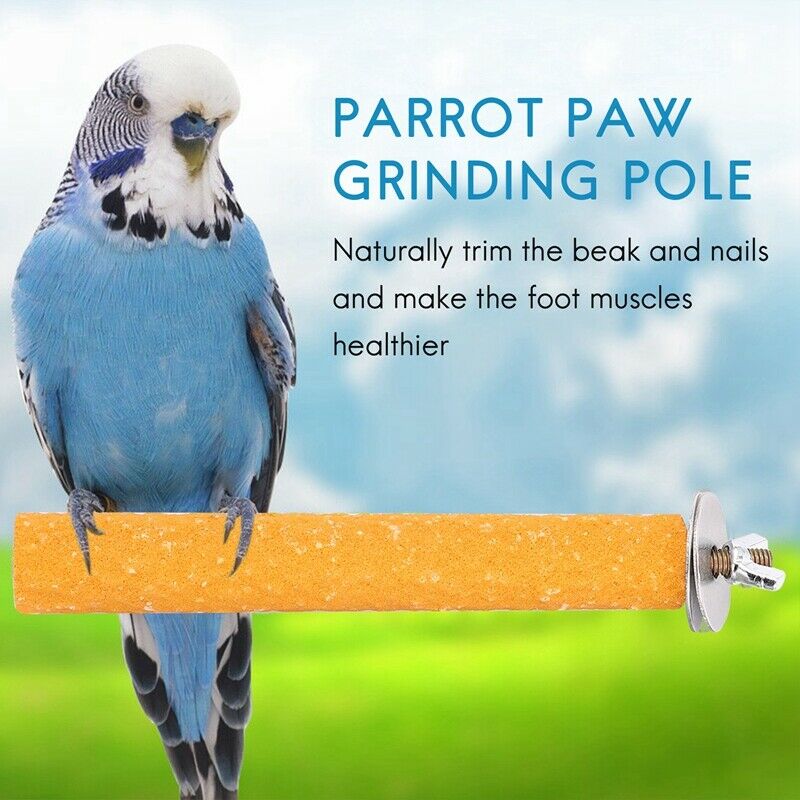 5Pcs Bird Feeding Dish Cups Parrot Stainless Steel Water Dish Perch Stand PlY8L5