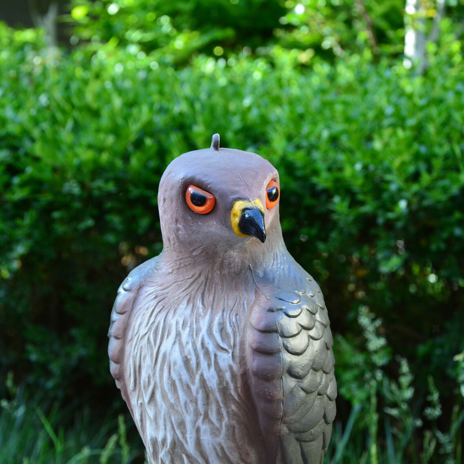 Hawk Hunting Bird Scare Repellent Decoy Statue Garden Ornamental Pest Help