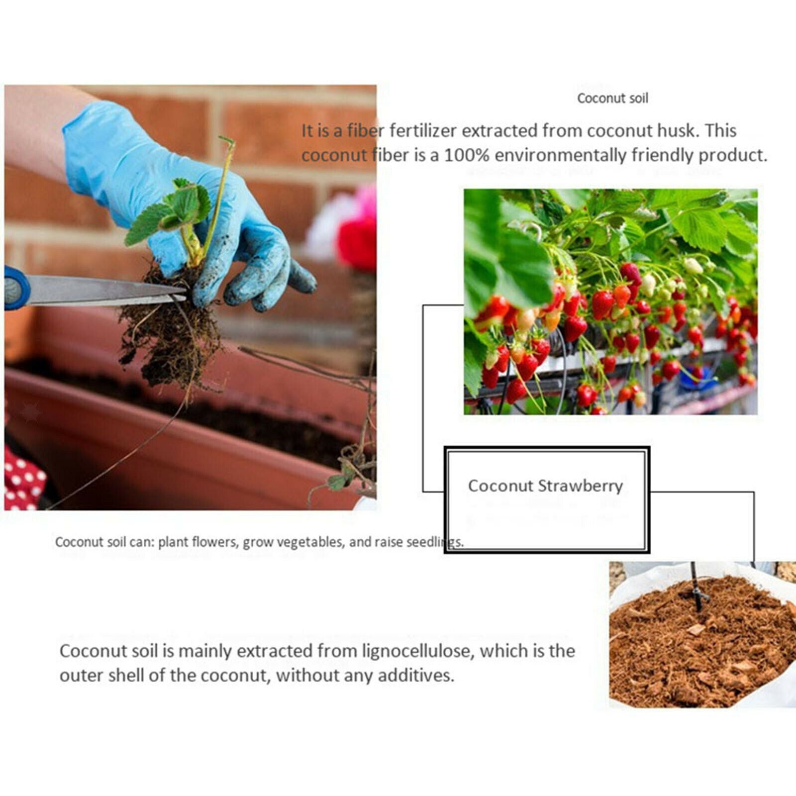 Organic 650g Planting Coco Nutrient Soil Coconut Coir Bricks Expandable