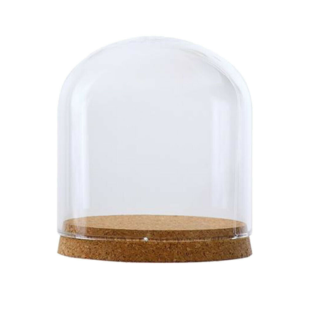 Glass Cloche Dome Cover Succulent Terrariums with Wood Cork Tabletop Decor S