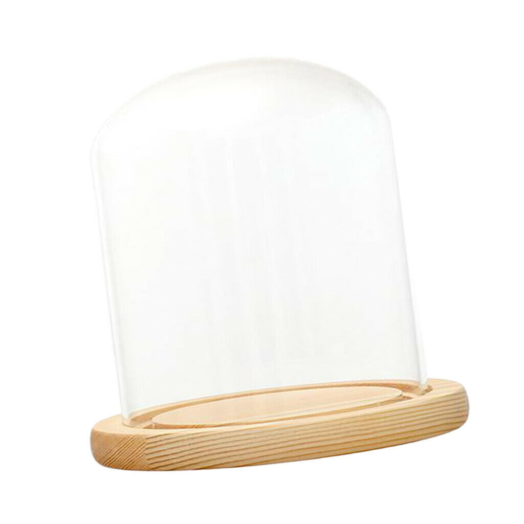 Clear Glass Display Dome with LED Wood Base Microlandscape Holder E 12x12cm