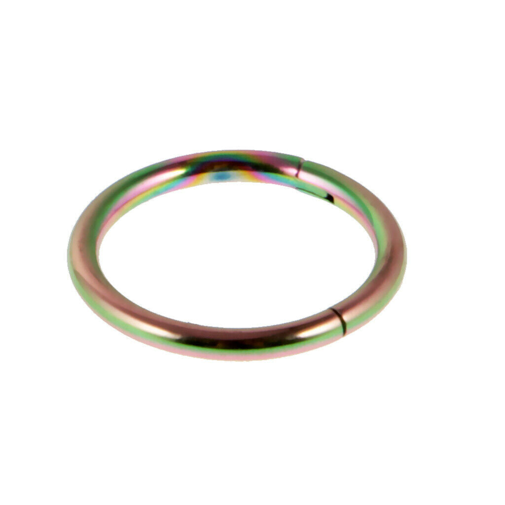 2 Piece Stainless Nose Ring Clicker Septum Hinge Tragus 16G 1.2x10mm Rainbow