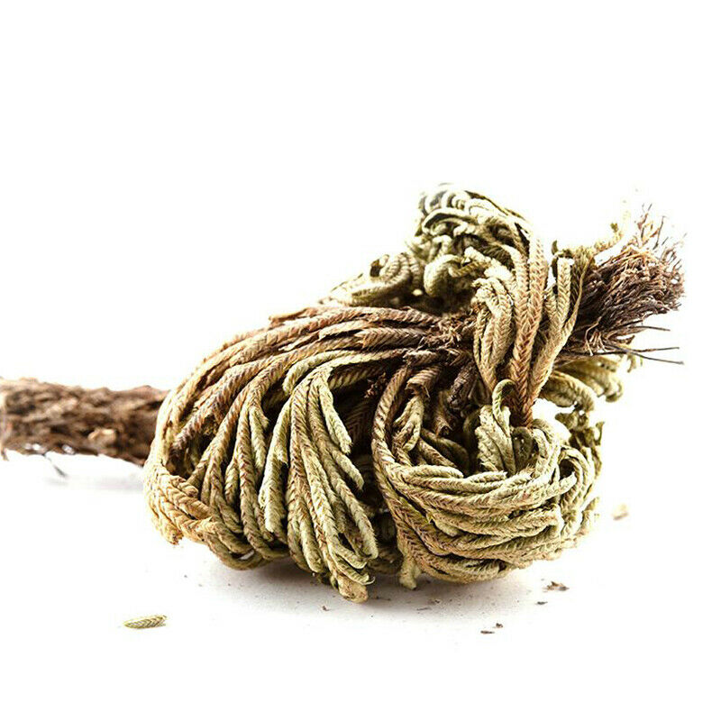 1pc Dried Flower Magical Resurrection Plants Grass Air Fern Selaginella Moss hot