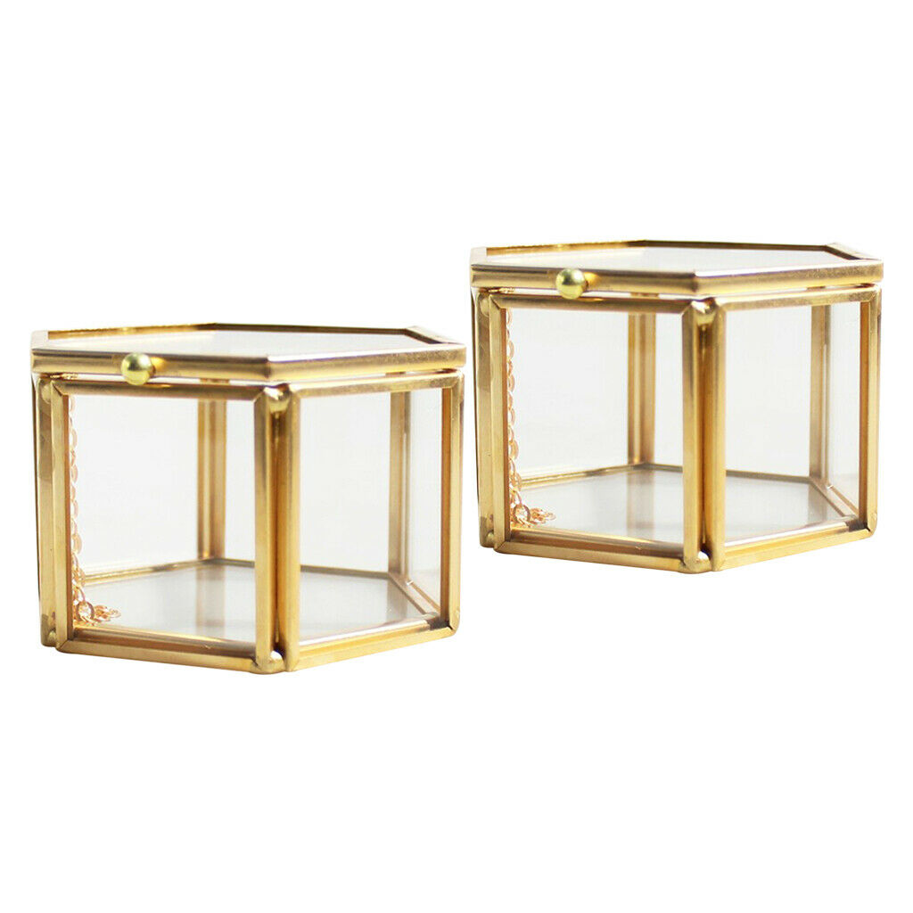 2 Pieces Modern Glass and Brass Cube Shaped Tabletop Succulent Plant Terrarium