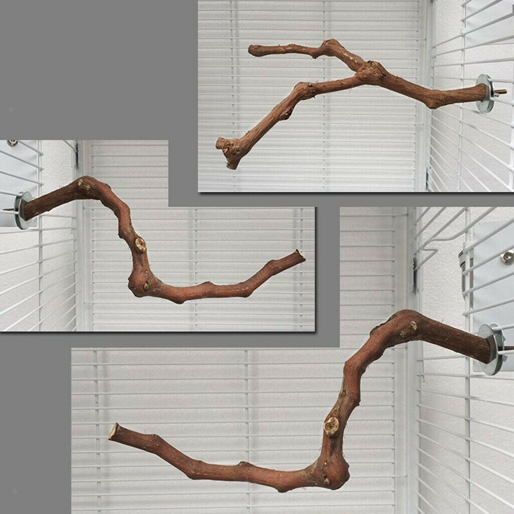 2X Wood Parrot Stand Tree Branch Toys Perches Cage Accessories Grinding A