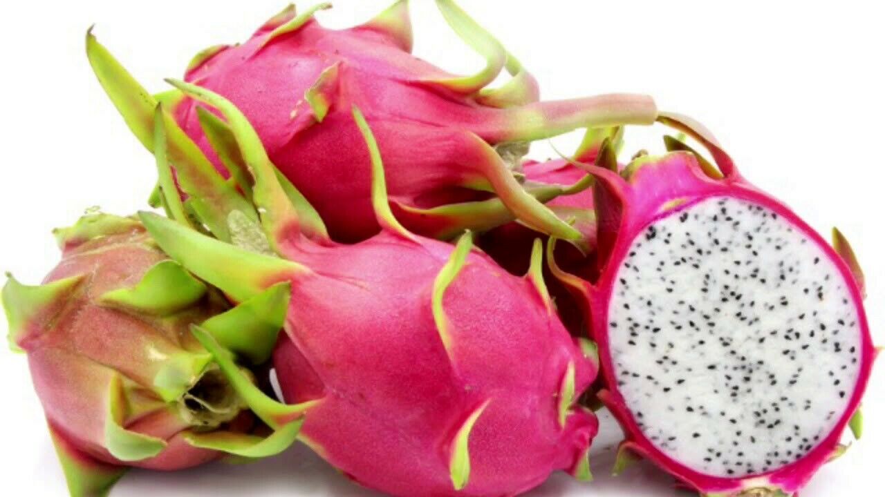 40 PCS Seeds Pitahaya Dragon Fruit Sweet Edible Fruit Home Garden High Quality
