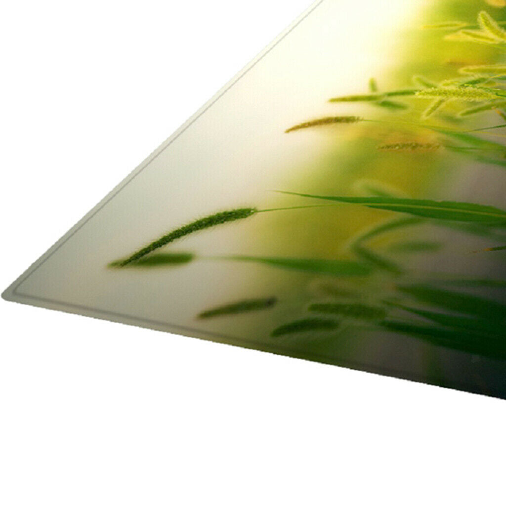 Floor Mat Non-slip Area Runner Kids Crawling Mat Dog Tail Grass 180x60cm