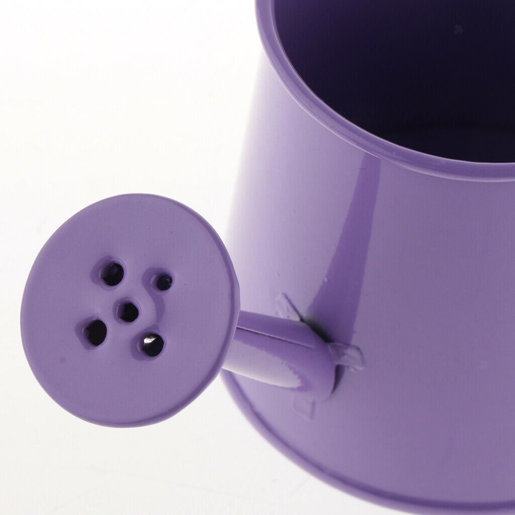 2x Pastoral Style Garden Watering Can Flower Barrel Rustproof Blue & Purple