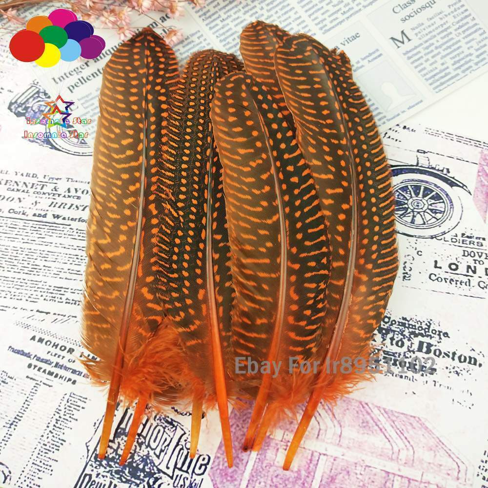 Dyed Orange Turkey 15~20cm Length 100pcs Polka Dot Guinea Fowl Quill Feathers