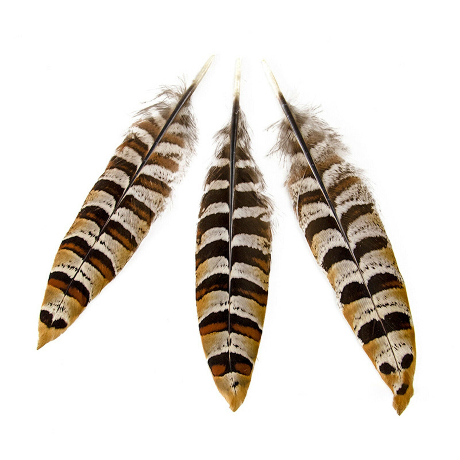 Natural Pheasant Feather Home Background Dream Catcher Earrings DIY 6-11cm