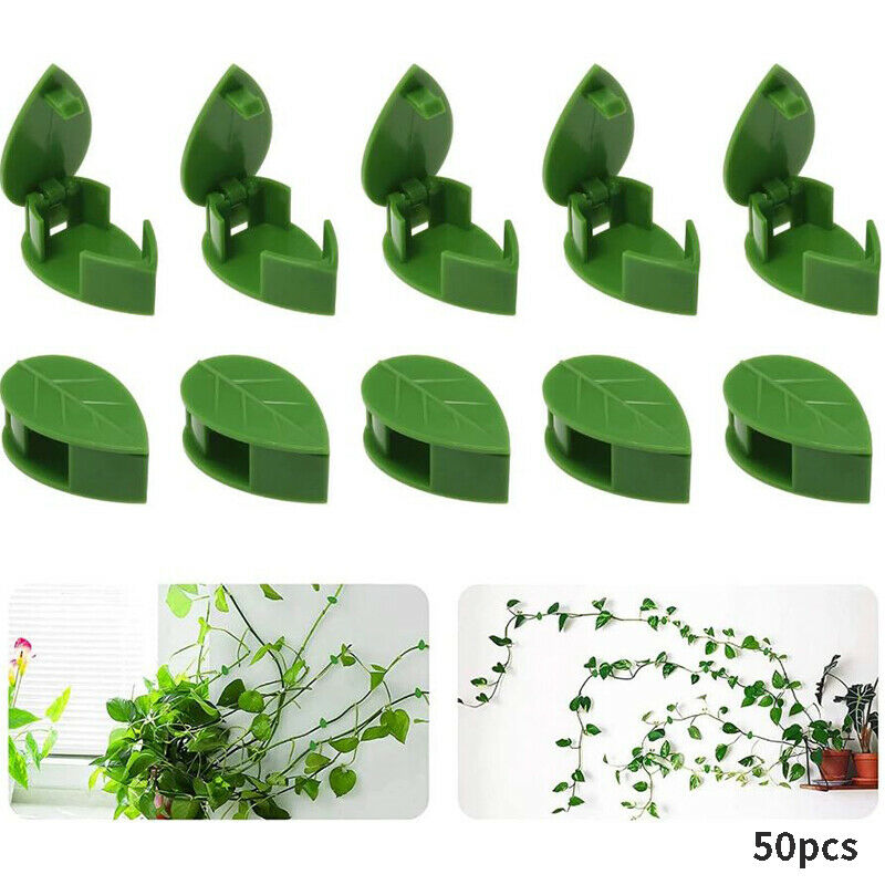 50PCS Plant Bracket Invisible Wall Rattan Clamp Clip Vine Climbing Sticky H JD