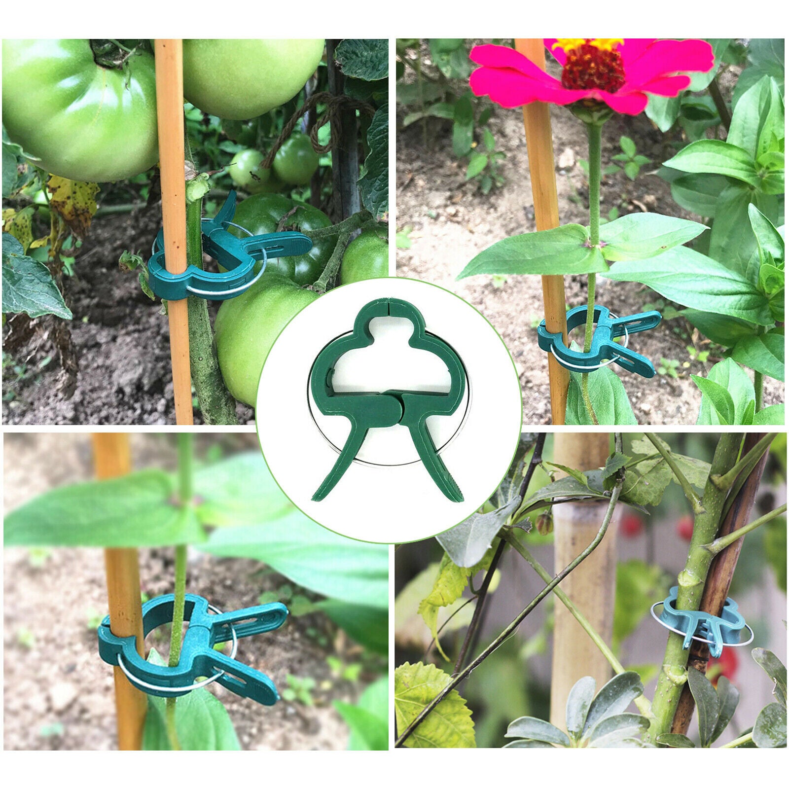 Flower Clamp Gardening Supplies Plant Clips Perfect Support Greenhouse Bracket