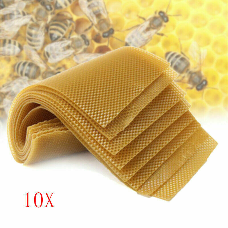 10Pcs Beekeeping Honeycomb Foundation Wax Frames Honey Hive Equipment Tool Set